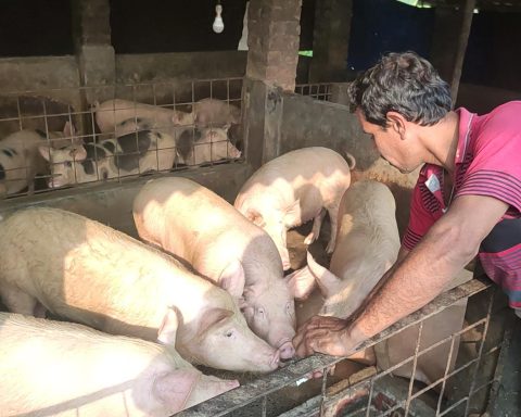 Bhutan pig farmers