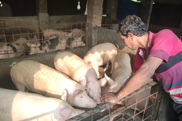 Bhutan pig farmers